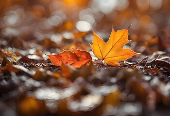 Vibrant Autumn Leaves - Perfect for Seasonal Decor, Nature Art, and Cozy Home Settings