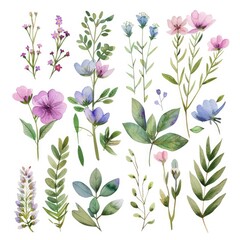 Watercolor Wildflower Bouquet. Hand Painted Forest Greenery and Herbs on White Background
