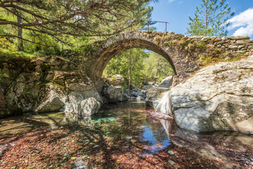 The Tartagine river flowing over colourful pebbles and under an ancient Genoese bridge surrounded...