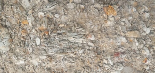  brown stone background. Rock surface. Mountain texture. Close-up. Bright rock background for your design.
