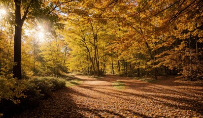 Naklejka premium Bright forest pathway meandering through vivid autumn leaves under sun 