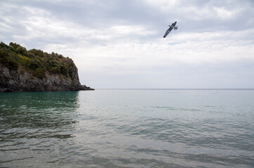 Seagull flying over the foreland at a cloudy sunset. Marina di Camerota bay, Salerno, Italy.