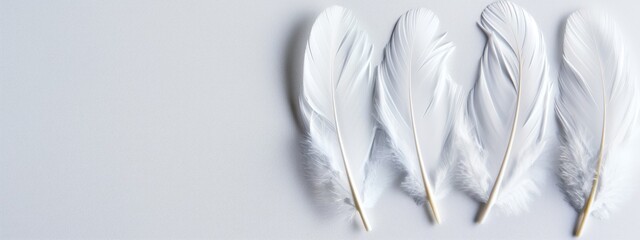  Three white feathers sit in a row atop a white table, covered by a white tablecloth