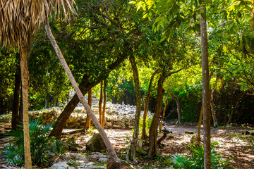 Xaman Ha Maya Ruins archeological site Playa del Carmen Mexico.