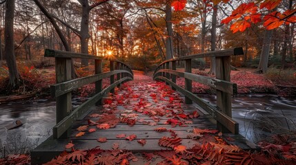 Wooden Bridge Over Stream in Autumn Forest at Sunset