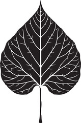 leaf silhouette vector art illustration