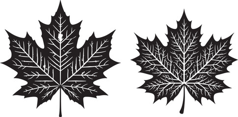 leaf silhouette vector art illustration