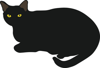Bombay Black Cat Minimal Flat Vector Illustration for Halloween