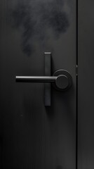 Minimalist Style Disinfecting and Cleaning High Touch Areas with Matte Black Switches and Brushed Nickel Doorknobs