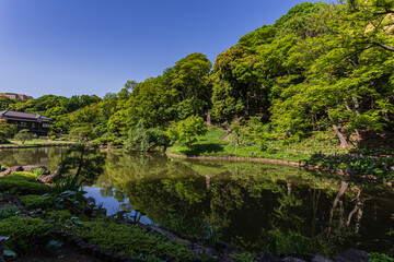 肥後細川庭園2024夏