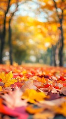 Bokeh effect defocused view of the colorful leaves in the autumn park. Fall forest background