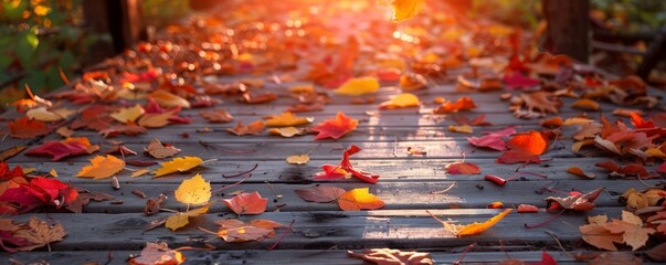 Leaves falling onto an autumn wooden path