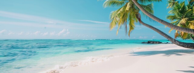 Obraz premium A pristine white sand beach, lined with palm trees, and crystal-clear blue water beyond
