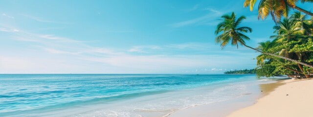 Fototapeta premium palm trees line the shore, clear blue ocean stretches out, boat distant on horizon