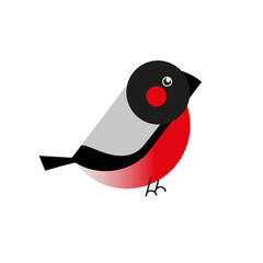 bird bullfinch red with black drawn in vector