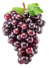 Cluster of red table grape with grape leaves isolated on white background. File contains clipping path.