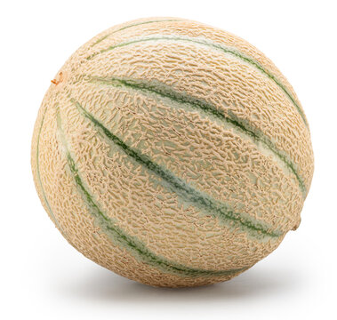 Cantaloupe melon isolated on white background. File contains clipping path.
