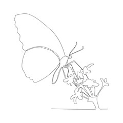 Continuous Line of Butterfly.