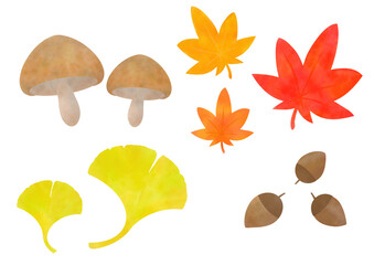 秋の葉や紅葉のイラストセット