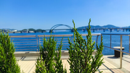 View at summer Tsueng Kwan O waterfront park, Hong Kong 