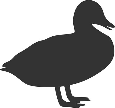 recommend clip art: Duck Silhouette 