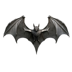 Flying Bat, isolated on transparent or white background