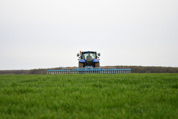 Fototapeta premium Back view of the tractor in the process of harrowing young cereal crops with a rotary harrow attachment 