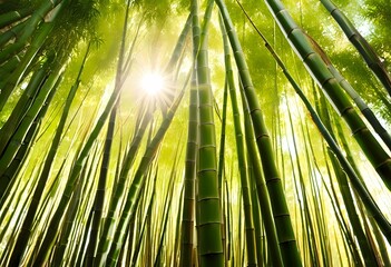 Fototapeta premium Sunlight filters through tall, serene bamboo forest, creating a beautiful, tranquil, and peaceful atmosphere. 
