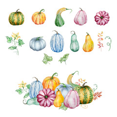 Watercolor pumpkins and foliage illustration set