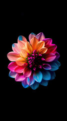 Obraz premium flower