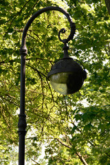 Old vintage lantern on a background of trees.