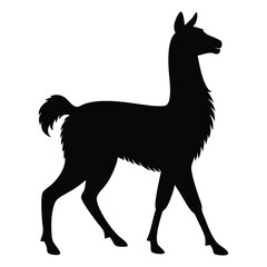 Illustration of Walking Llama silhouette isolated  © Ismail Hossain