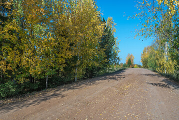 Rural dirt road in autumn. In autumn, trees with yellowed leaves grow along the country road. Trees with yellow leaves and a blue sky. Traveling by car in rural areas.