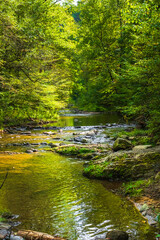 Paint Creek flows downstream and pools in a rocky cove shaded by trees