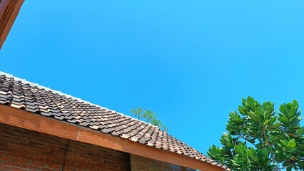 A blue sky with a tree in the foreground