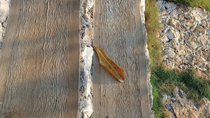 A leaf is laying on a wooden staircase