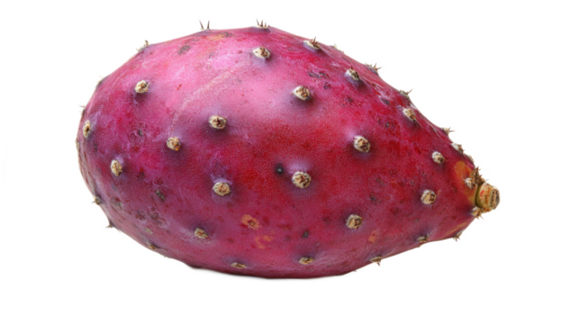 Prickly Pear Cactus Fruit