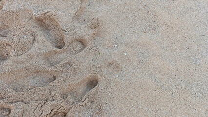 A sandy beach with a footprint in the sand