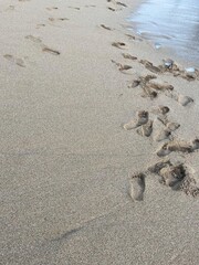 A beach with a lot of footprints in the sand
