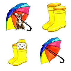 set of watercolor illustrations of small breed dogs