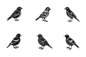 bird vector art Silhouette set, with white background