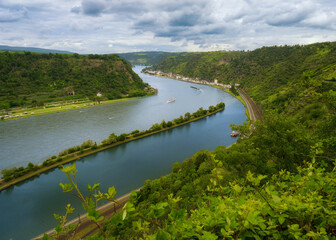 Der Rhein in den Nähe von Lorch.