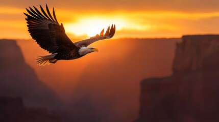 Eagle in Midair Over Canyon with Sunrise Glow