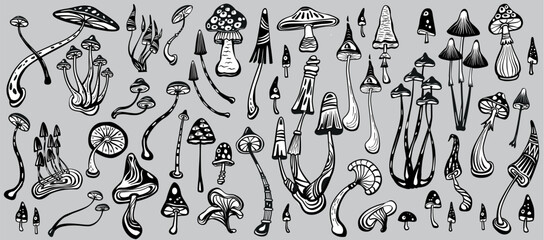 Set of Stylized Magic Mushrooms, black and white, 