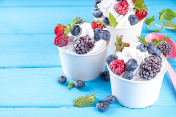 Frozen yogurt dessert with various berry toppings. Whipped creamy yoghurt ice cream with raspberry, strawberry, blueberry and mint