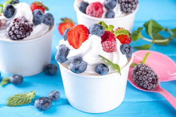 Frozen yogurt dessert with various berry toppings. Whipped creamy yoghurt ice cream with raspberry, strawberry, blueberry and mint