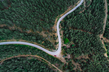 Aerial view of a serpentine road winding through the lush green forest of Tara Park, Serbia