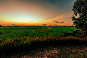 Nature Wallpaper (Mountains, Green Fields, Roadside Accommodation, Twilight Sky) The beauty of nature while traveling, with the wind blowing through the blurred leaves.