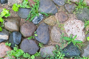  Large granite cobblestone of a paved road in an old fortress.                              