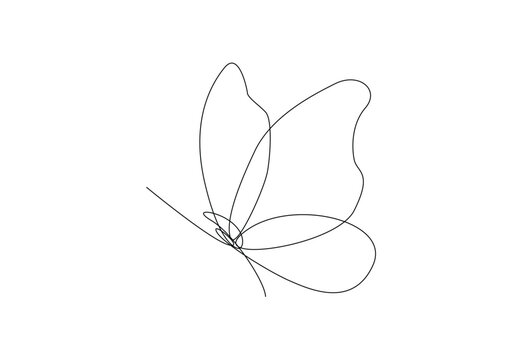recommend clip art: Continuous one line drawing of Butterfly ,single line illustration design of flying Butterfly, Bird Vector single line art